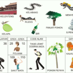 NOMOR EREK EREK 10 DI BUKU MIMPI 2D TERLENGKAP. Sajian khusus terkait Erek Erek 10 menurut Buku Tafsir Mimpi 2D Bergambar
