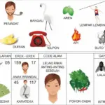NOMOR EREK EREK 17 DI BUKU MIMPI 2D TERLENGKAP. Permainan nomor 17 Erek Erek 17 dan Kode Alam dalam buku mimpi